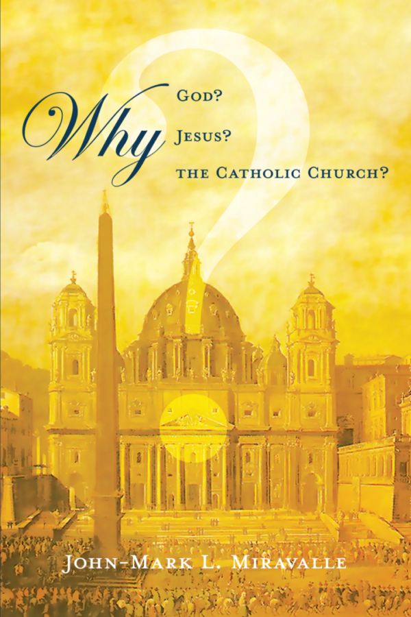 Why God? Front Cover