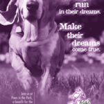 Paws in the Park Poster