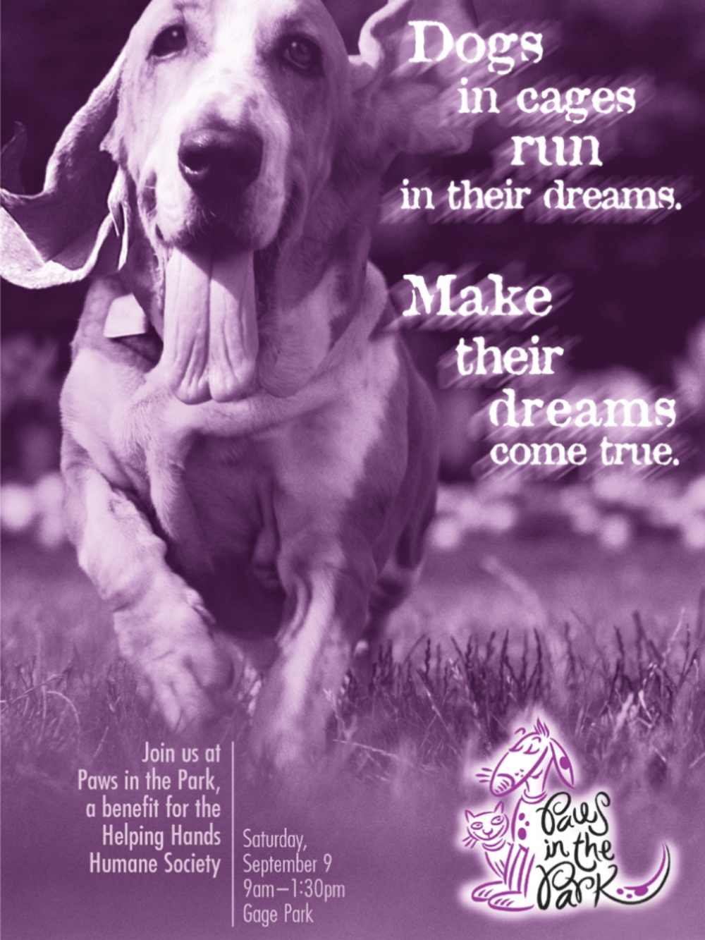 Paws in the Park poster