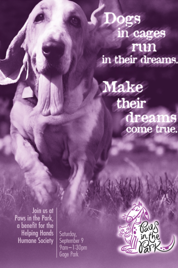 Paws in the Park poster