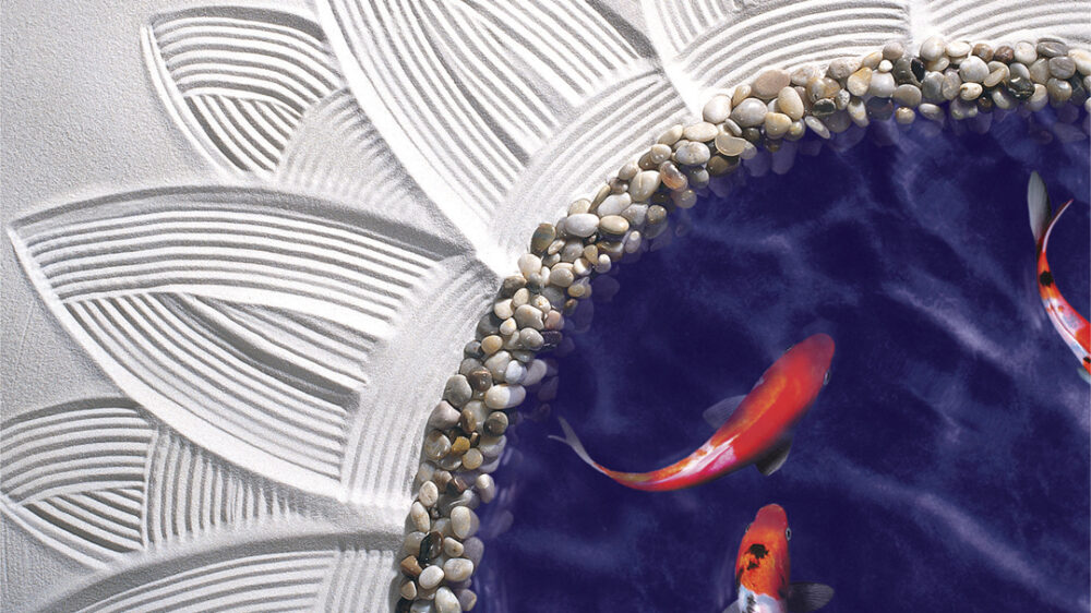Zen Sunflower Koi Pond