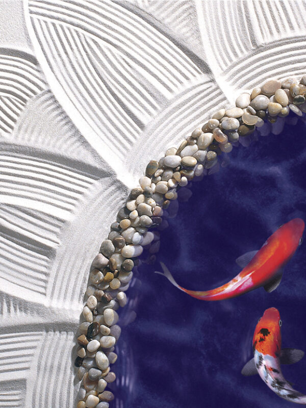 Zen Sunflower Koi Pond